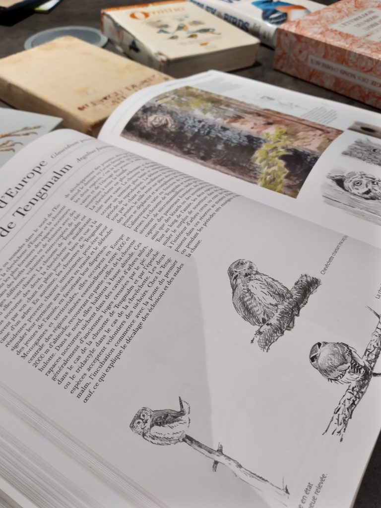 La Salamandre Le comportement des oiseaux d'Europe bibliographie